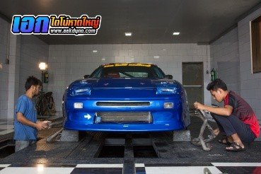 เอกไดโน่เทส