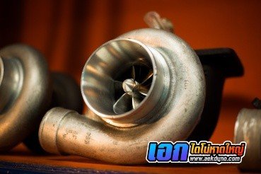 เอกไดโน่เทส